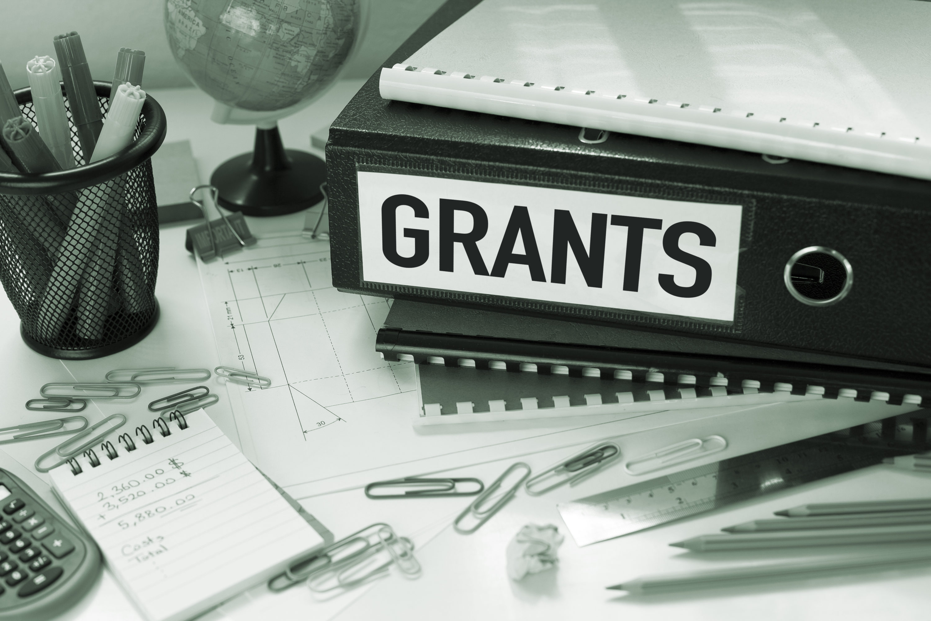 Should your nonprofit accept that new grant?